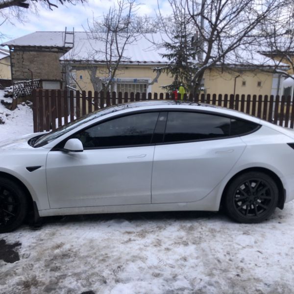 Дефлектори вікон вітровики Tesla Model 3 2016+ Premium BTSM31923 фото