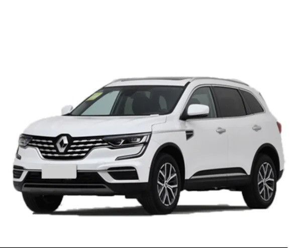 Бризковики до Renault Koleos 2017-2023, к-кт (4шт.) RE2003 фото