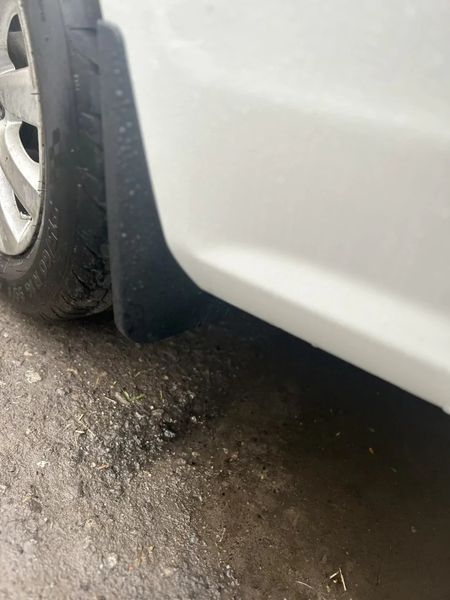 Бризковики Volkswagen Passat B7, B8 USA Америка 11-19, (4шт.) Premium BVWP71121 фото
